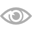 Vision Icon